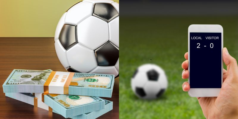 Các sảnh thể thao U88 nổi bật